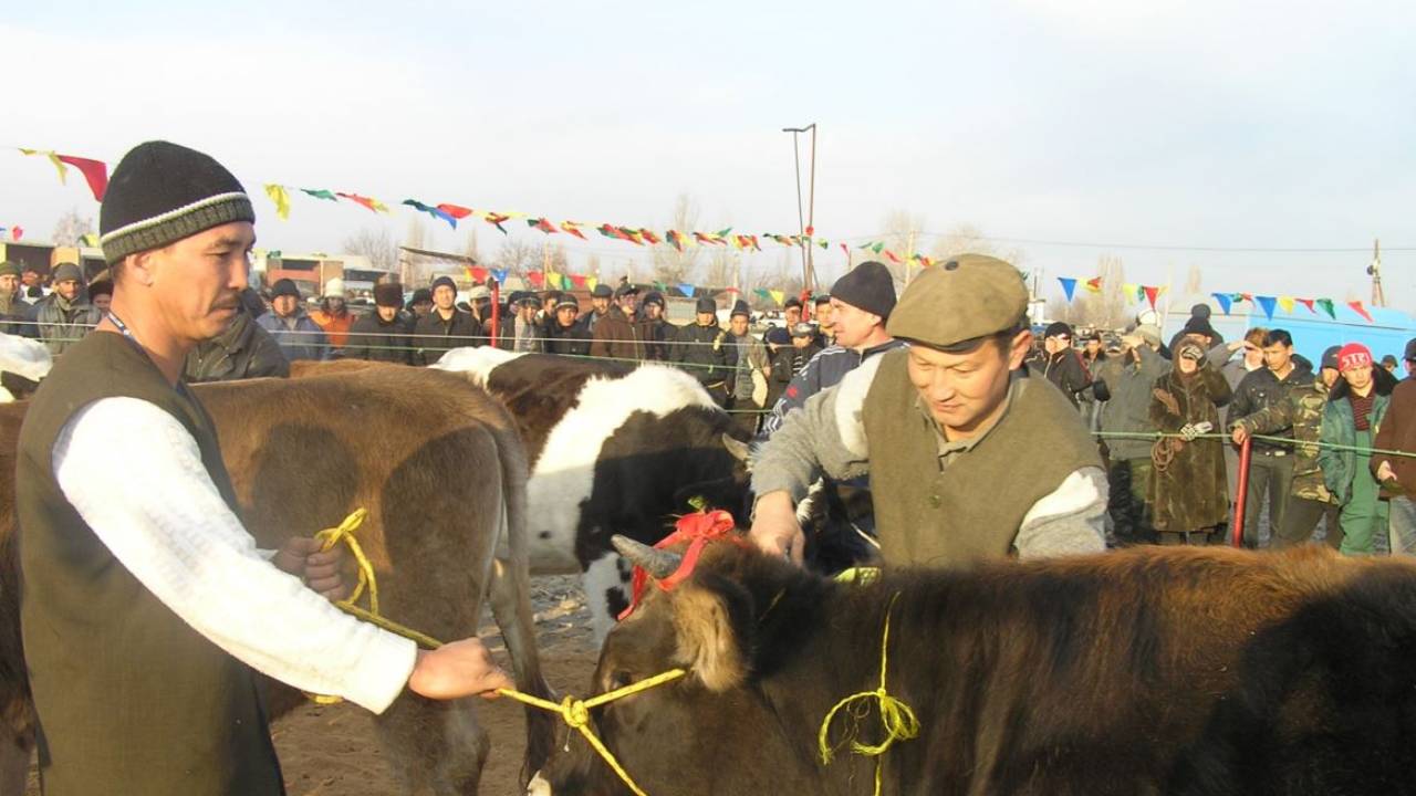 Казахстан запретил ввоз. Киргизские Транзиты.